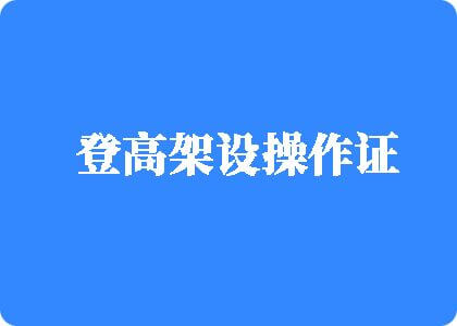 鸡巴插逼不卡的网站登高架设操作证